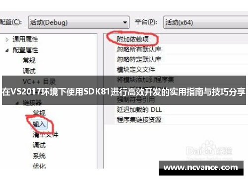 在VS2017环境下使用SDK81进行高效开发的实用指南与技巧分享
